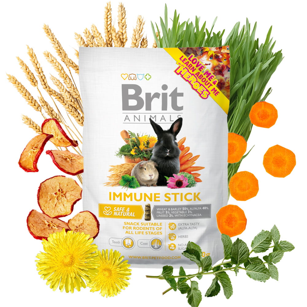 Brit Animals Immune Stick Przysmak dla gryzoni wspierający odporność 100g